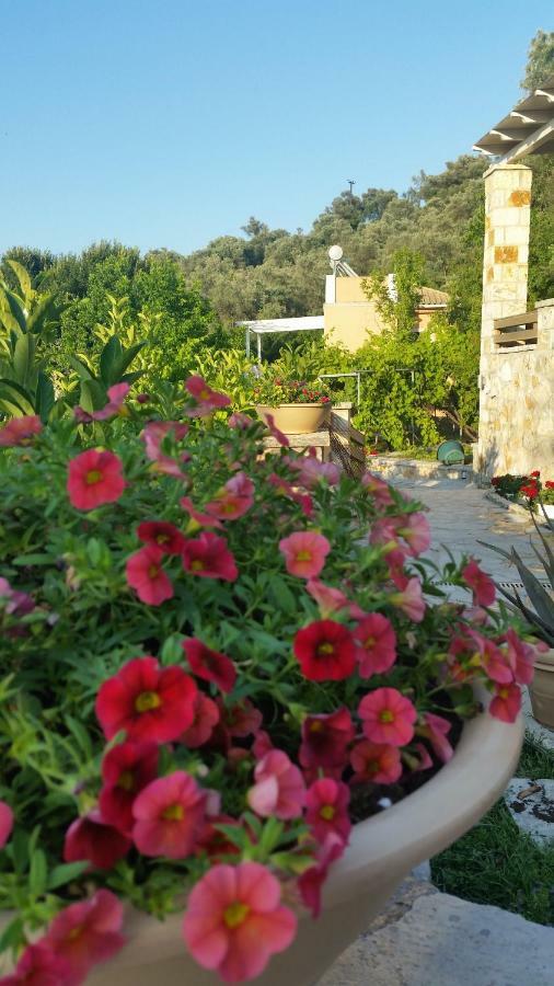 Aloe Villa Apolpaina Экстерьер фото