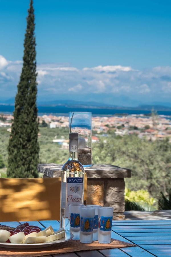 Aloe Villa Apolpaina Экстерьер фото